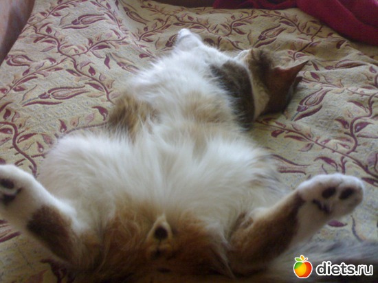 3 фото: Сашкины сны