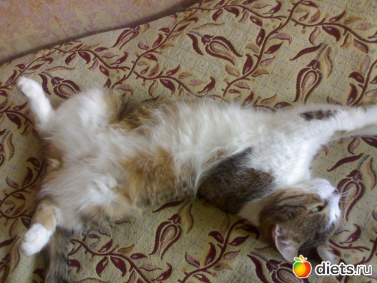 4 фото: Сашкины сны