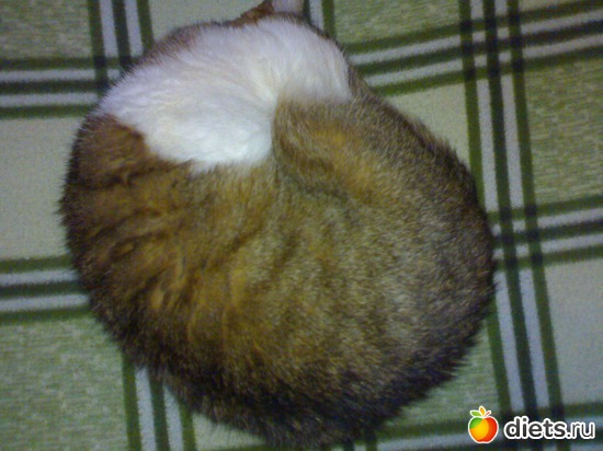 10 фото: Сашкины сны