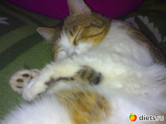 11 фото: Сашкины сны