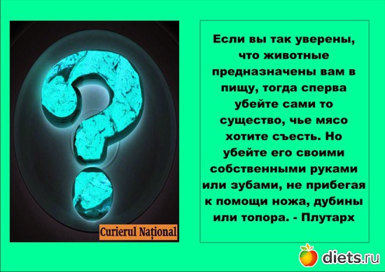 1 ����: ����? ��� ����� ��� ���� ���?