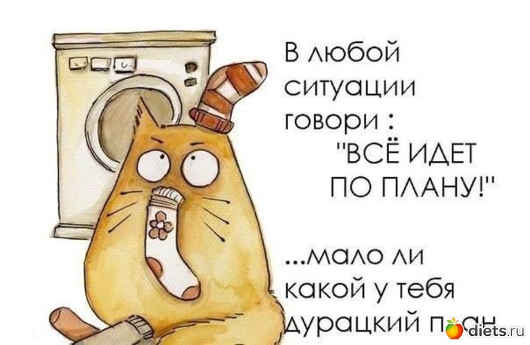 154 ����: �� ���������