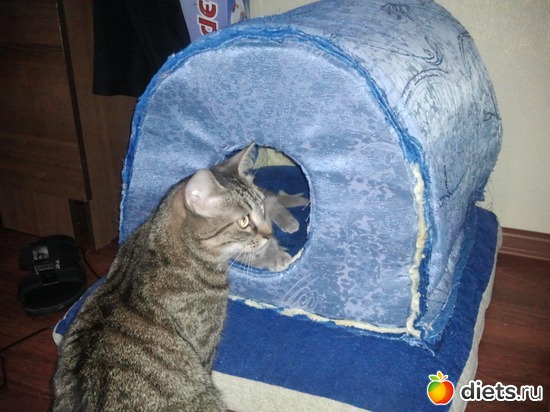 11 фото: Котя