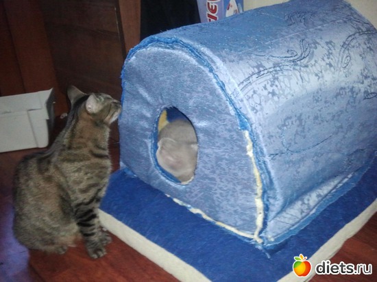 14 фото: Котя