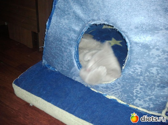 16 фото: Котя