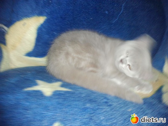 17 фото: Котя