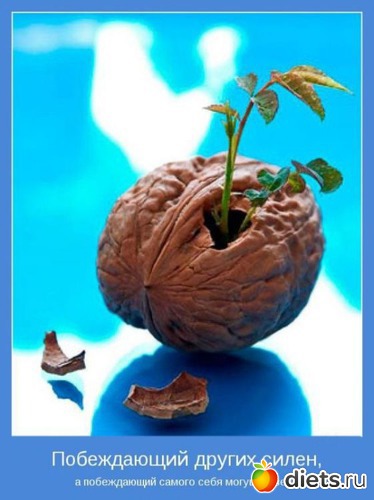 4 ����: ������� ����������