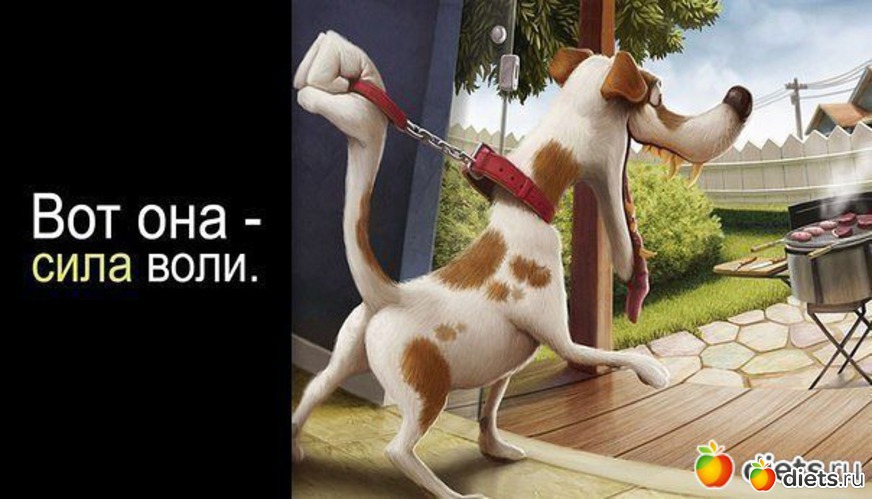 7 фото: Мотивашки