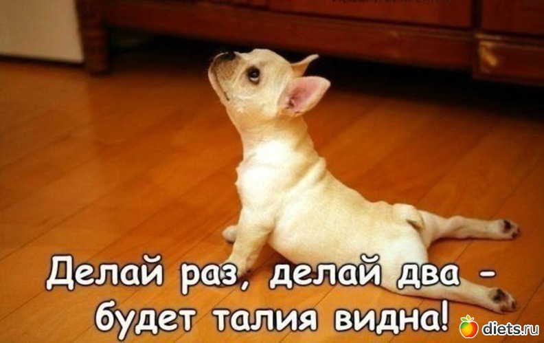 167 ����: �� ���������