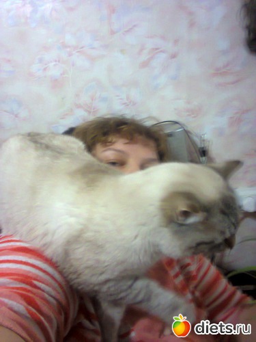 44 ����: �����