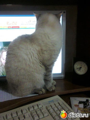 45 ����: �����