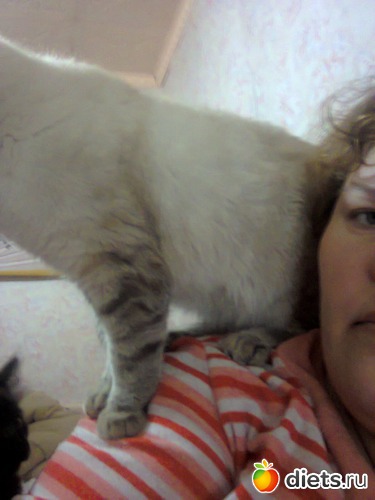 46 ����: �����