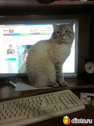 47 ����: �����