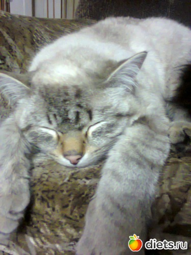 48 ����: �����