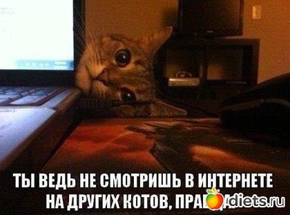 �� ���������