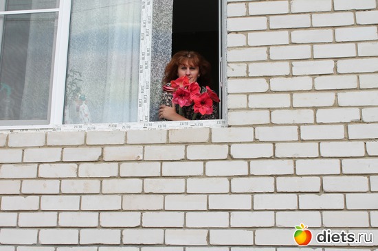 12 ����: �