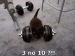 А попец все меньше и меньше))) Топим сальце!