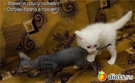 �� ���������
