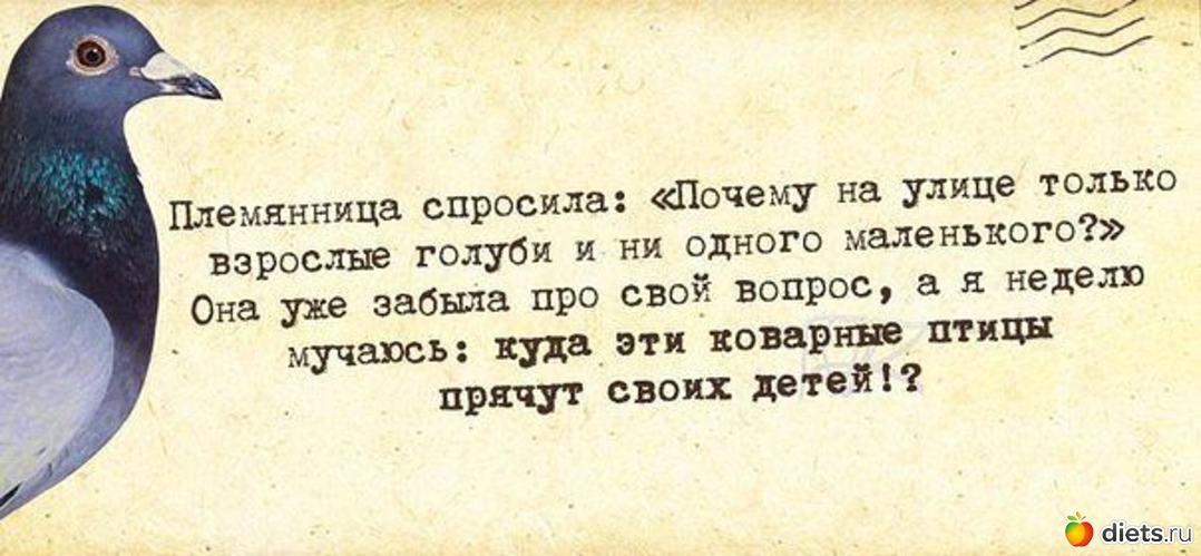 201 ����: �� ���������