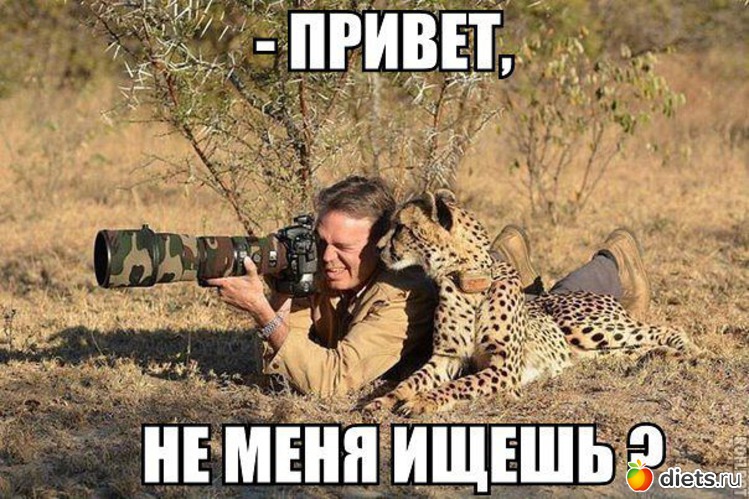 203 ����: �� ���������