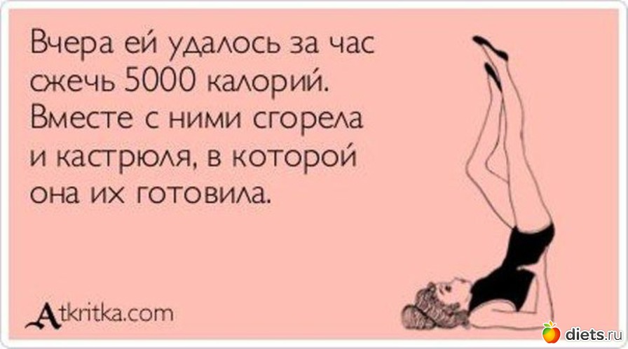 204 ����: �� ���������