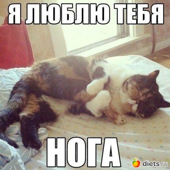 191 ����: �� ���������