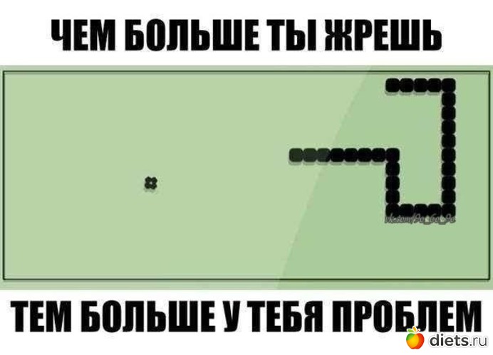 2 ����: ��������� � ���������