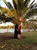 On the SWAN river bank