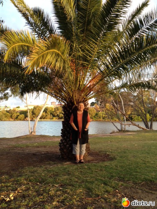 On the SWAN river bank, ������: AUSTRALIA. PERTH