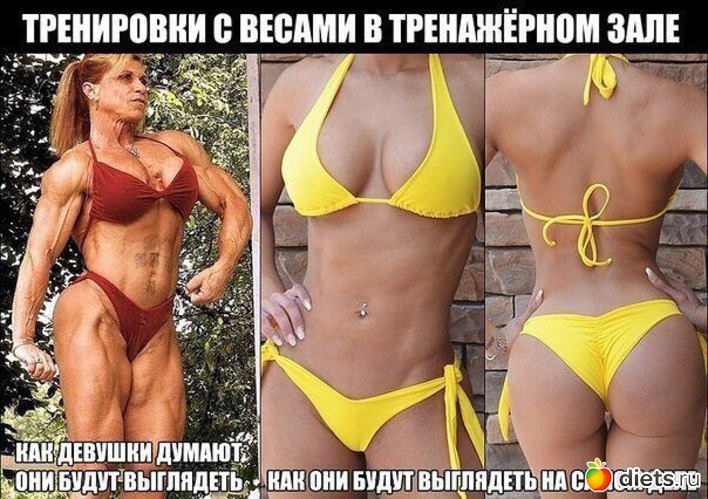 3 ����: ����������