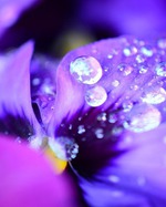 Доброе утро)))