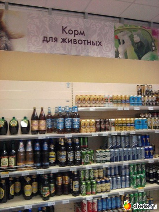51 фото: юмор
