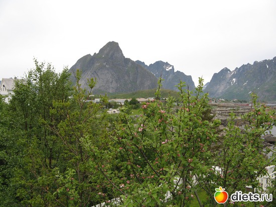 142 фото: Лофотены. Норвегия июнь 2014