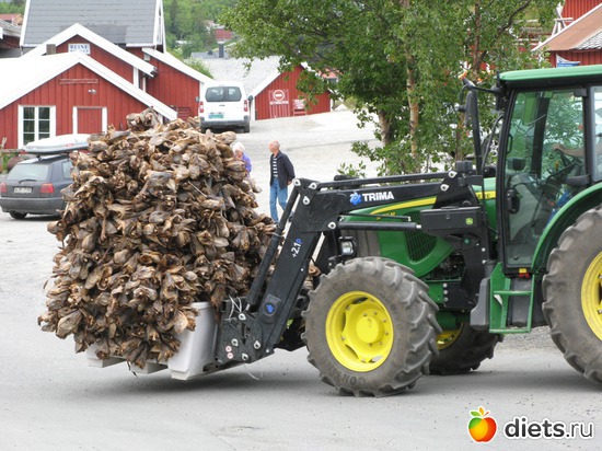 143 фото: Лофотены. Норвегия июнь 2014