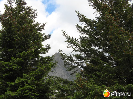 148 фото: Лофотены. Норвегия июнь 2014