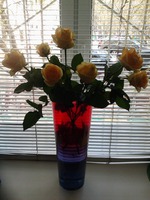 Мое очищение и оздоровление