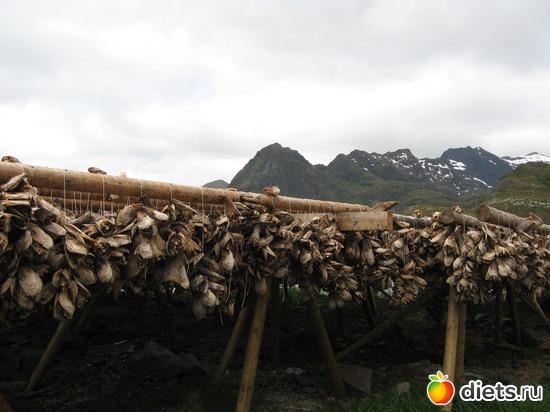 160 фото: Лофотены. Норвегия июнь 2014