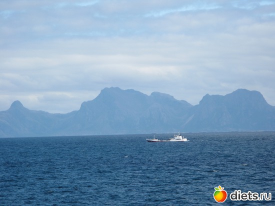 177 фото: Лофотены. Норвегия июнь 2014