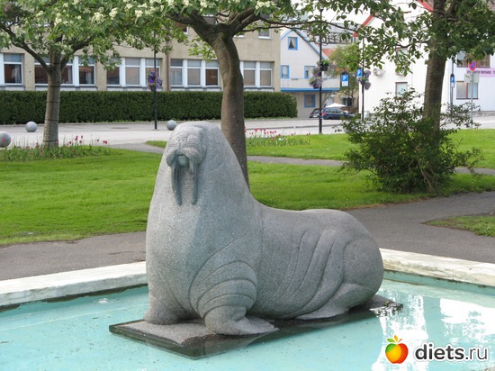 182 фото: Лофотены. Норвегия июнь 2014