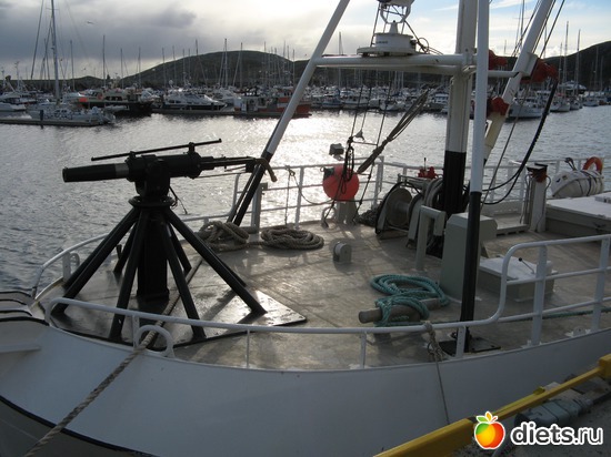 186 фото: Лофотены. Норвегия июнь 2014