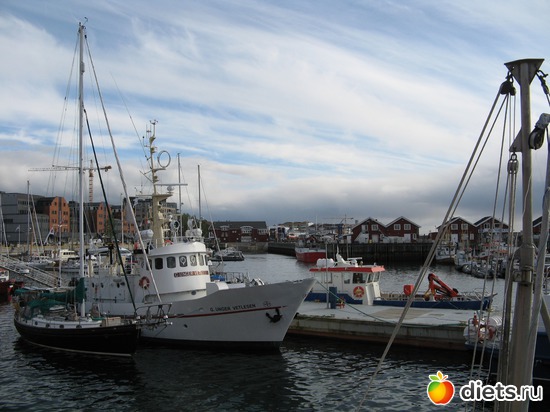 187 фото: Лофотены. Норвегия июнь 2014