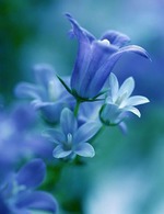 10 принципов дзен;которые тебя изменят!!!