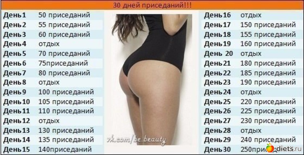 3 ����: ����������