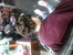 ��� ������