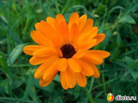 7 ����: ��������