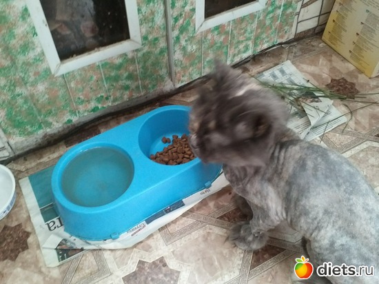 8 ����: ��������