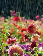 Доброе утро)))))