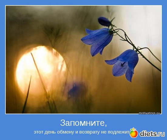 13 ����: ���������  - ����� 1