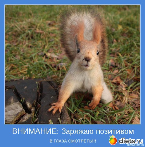 38 ����: ���������  - ����� 1