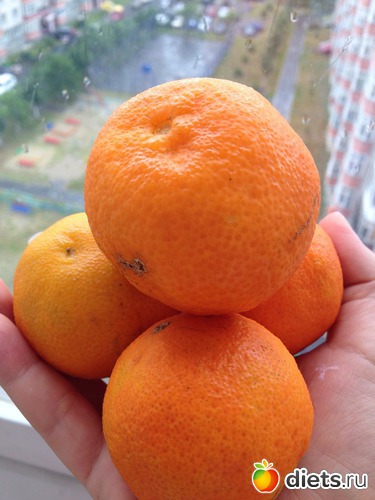 Перекус 15:00 4/90, альбом: Питашка 90 дней